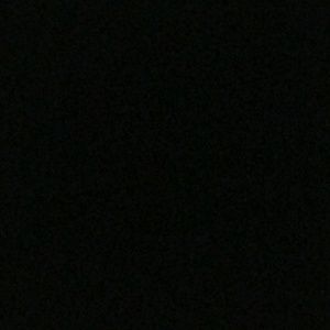 Meet your Posher, George